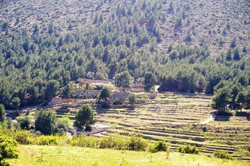 Foto c21bb451-cb1c-4ca6-be39-76720b6bb33f. Terreny residencial a Callosa d´en Sarrià