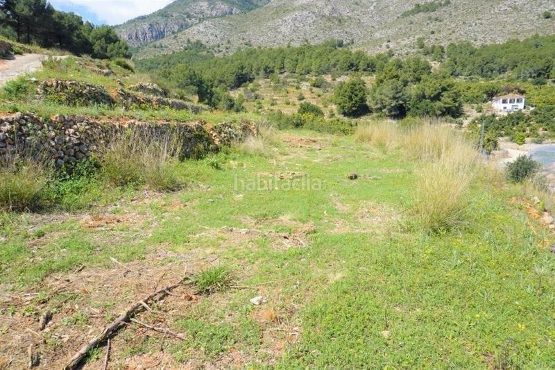 Foto c2c0a1a2-de3d-423c-a431-7354deaec7da. Terreny residencial a Callosa d´en Sarrià