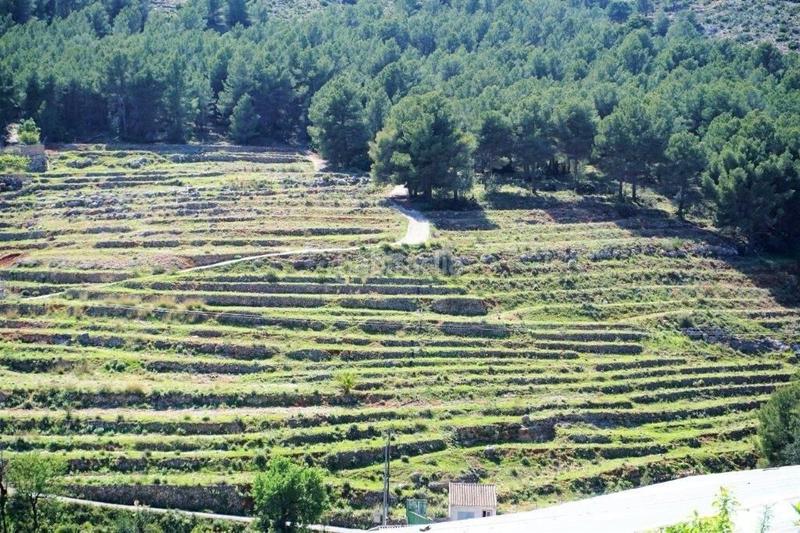 Foto c307c9b4-66b4-47fd-8544-736e9766bfe2. Terreny residencial a Callosa d´en Sarrià