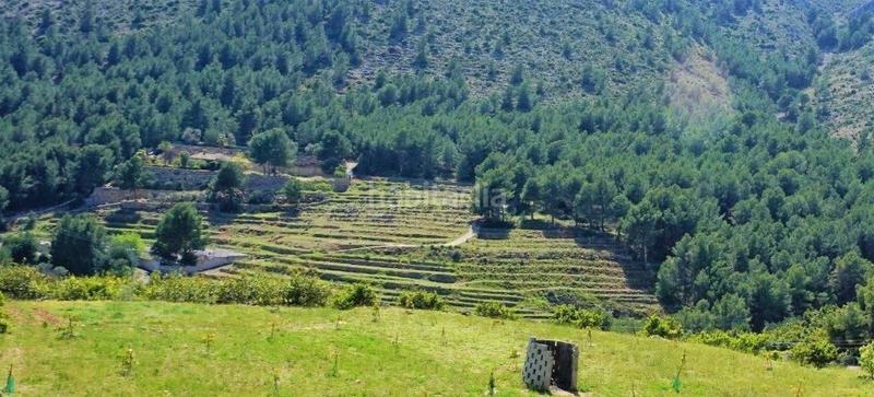 Foto ca08930a-8e9c-490f-8e66-556d66cd3832. Terreny residencial a Callosa d´en Sarrià