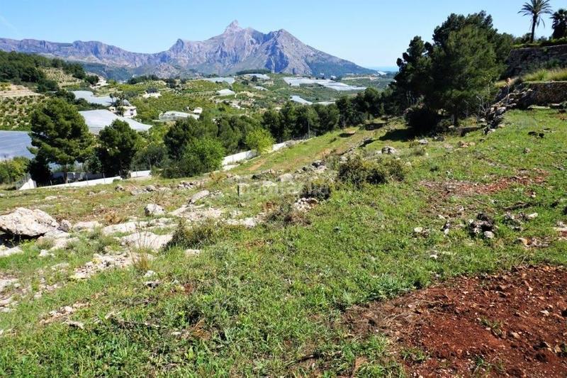 Foto cd501e2f-3f76-4ca7-a5e1-140a30d9b266. Terreny residencial a Callosa d´en Sarrià