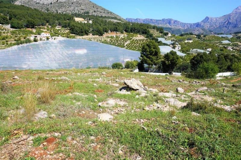 Foto d631ec3a-b4b4-4d79-a921-e34c60514162. Terreny residencial a Callosa d´en Sarrià