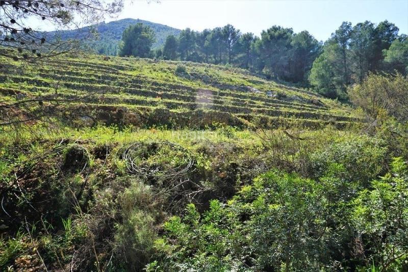 Foto dd1645d9-d219-4682-882a-1c30982ccbc7. Terreny residencial a Callosa d´en Sarrià