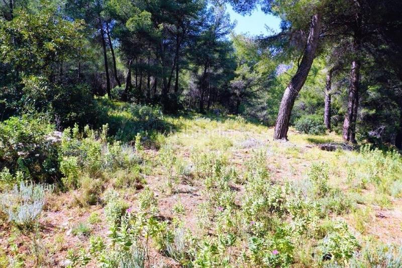 Foto e6a34089-f863-4b4c-b76b-4425ae71b055. Terreny residencial a Callosa d´en Sarrià