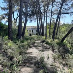 Finca rústica a Planes. Fantástica finca de 37 hectareas 8 hectáreas con masia