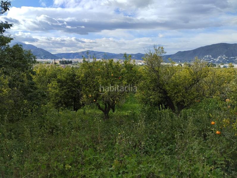 Foto bb900776-5456-4225-8d56-0c3d7ed64ec7. Finca rústica a Pego
