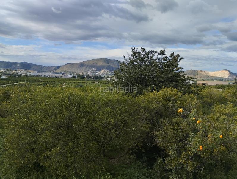 Foto c12144a2-7a3a-457c-abda-101fef8fc24b. Finca rústica a Pego