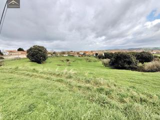 Propriété à Ajo. Finca centrica en ajo.