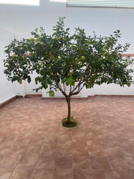 Foto 382a4f03-9e60-4602-87c5-10146df75fde. House with heating parking in Pego