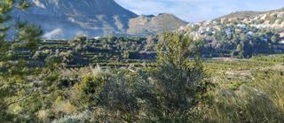 Propriété à Atzúbia (L´). Finca rústica, mucho potencial