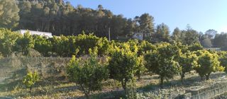 Casa a Pego. Casa de campo registrada