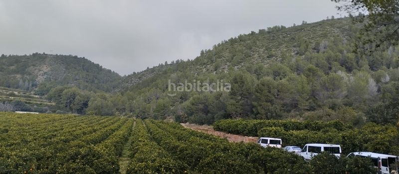 Foto 3e5de8f8-a056-49e3-8d73-7dabfe5b37cd. Finca rústica  con nave y casa de aperos en adsubia en Atzúbia (L´)