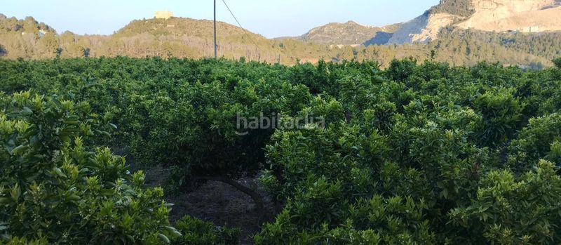 Foto 8ea1ee64-a85b-46df-aea4-06f897f4098d. Finca rústica  con nave y casa de aperos en adsubia en Atzúbia (L´)