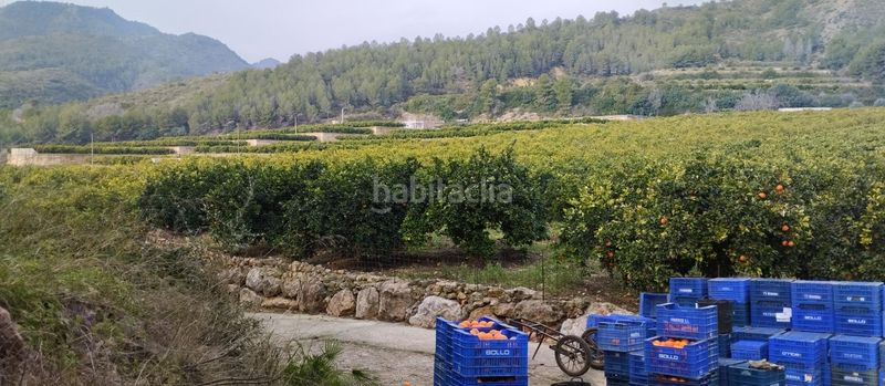Foto af9ee45a-86e7-482b-b8aa-4b657383cf46. Finca rústica  con nave y casa de aperos en adsubia en Atzúbia (L´)