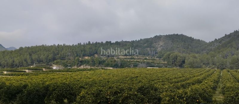 Foto f15c87d5-3b54-4d09-8ff3-7cb985406fc1. Finca rústica  con nave y casa de aperos en adsubia en Atzúbia (L´)
