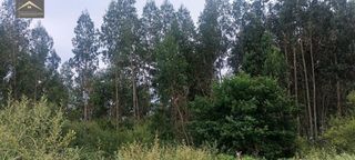 Residential Plot in Cabezón de la Sal. Finca rústica con eucaliptos listos para aprovechamiento
