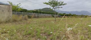 Finca rústica a Pego. Finca llana con luz y agua