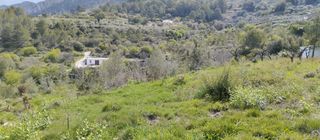 Finca rústica a Vall de Gallinera (La). Finca rústica ideal para uso agrícola en entorno natural