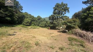 Terreno residencial en Ruente. Finca urbanizable con autorización de la crotu y proyecto básico