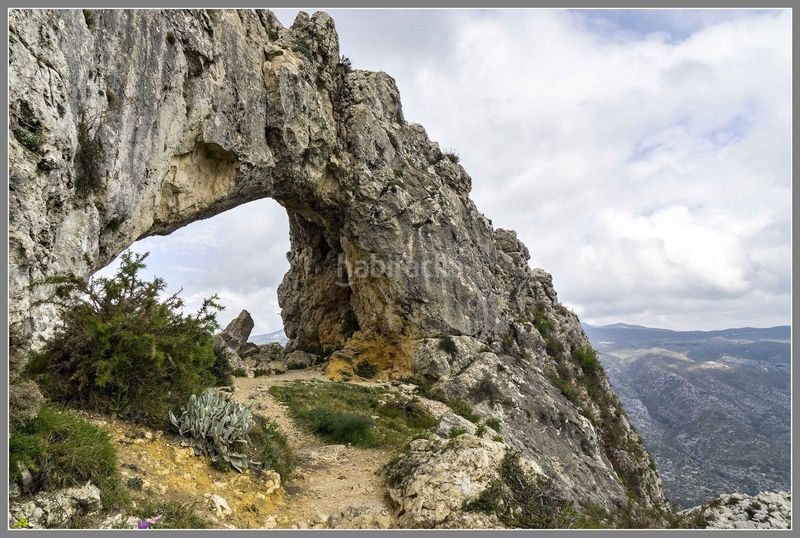 Foto edfa7ce3-66e1-44cf-b5b0-73445ff89403. Finca rústica a Vall de Gallinera (La)