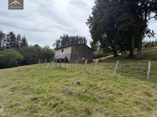 Nau industrial a Ruente. Finca rustica con invernal en ruente