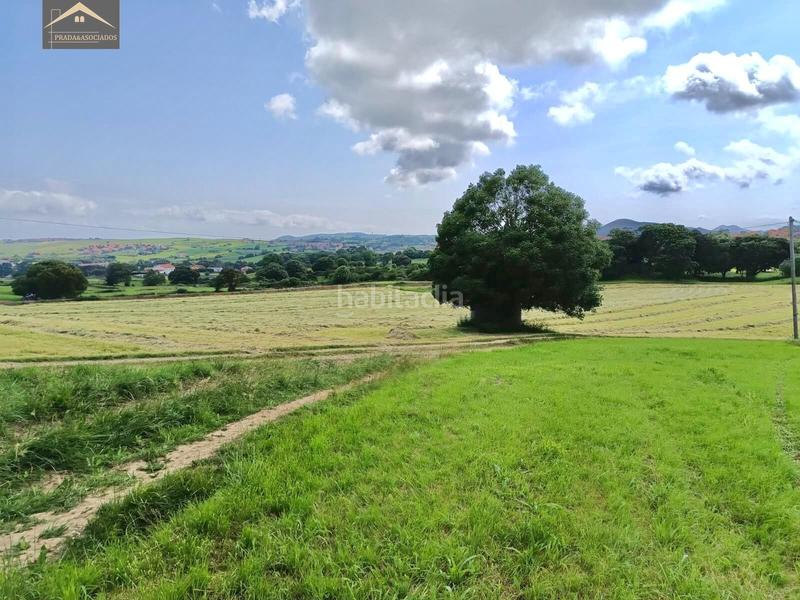 Foto ff73e0d1-e1c1-41d4-80e8-4d49f3f1aa99. Masia amb aparcament a Ajo Bareyo