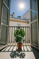 Location Appartement  Calle calle santa ángela de la cruz, 39. Tu nuevo hogar en el corazon de sevilla.