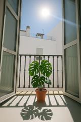 Location Appartement  Calle calle santa ángela de la cruz, 39. Tu nuevo hogar en el corazon de sevilla.