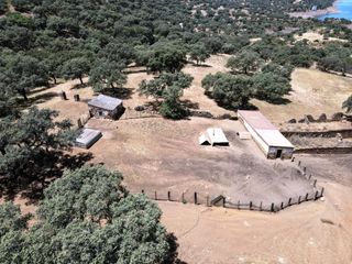 Rural plot in Cazalla de la Sierra. Oportunidad única en la sierra norte de sevilla! venta de exclus
