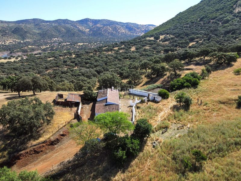 Foto 2f5915a8-3175-478f-9597-51ce514fa0f4. Finca rústica a Cazalla de la Sierra