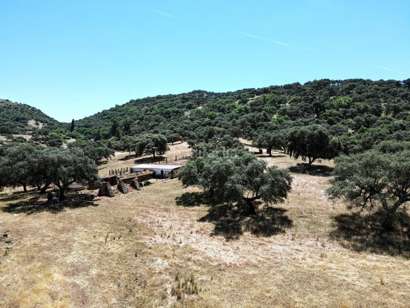 Foto 4744f5e0-1d37-475c-9c7d-2720a51d5f98. Finca rústica a Cazalla de la Sierra