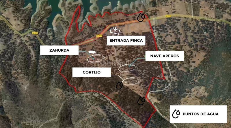 Foto 8ea6ef1e-48e0-4d51-ade5-54b00d8a4be5. Finca rústica a Cazalla de la Sierra