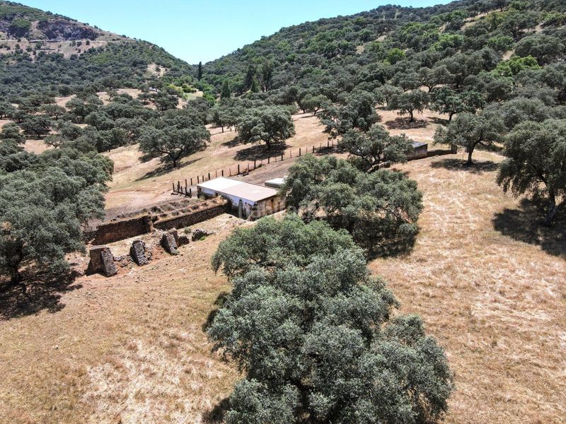 Foto be014339-2f23-4088-badd-1c3767ff54b4. Finca rústica a Cazalla de la Sierra