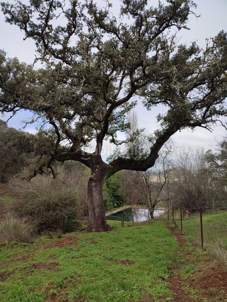 Foto e8bee633-d9d6-4c2f-8227-5c2fb9f1c8af. Finca rústica a Cazalla de la Sierra