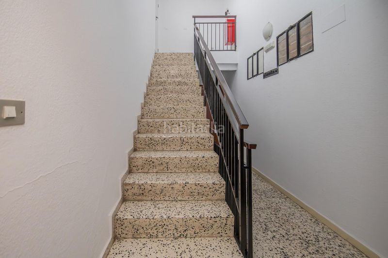 Foto cc012771-c9cb-451f-8095-03fe9e02f7f5. Pis a Cruz Roja Sevilla