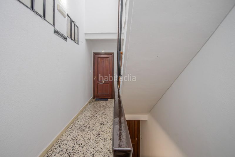 Foto da8ee831-7722-40e0-8efe-0f25aa8e6fa6. Pis a Cruz Roja Sevilla