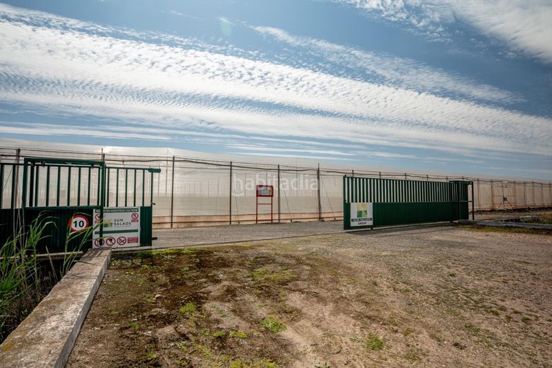 Foto 01cfd3c2-c3a1-4e8b-abc8-b1628d581d6f. Finca rústica a Pedanías Sur Utrera