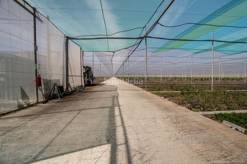 Foto 09e9f460-e295-46e9-88dc-247e911823a5. Finca rústica a Pedanías Sur Utrera