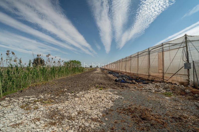 Foto 320e102e-be88-454c-99df-ff6a768bf795. Finca rústica a Pedanías Sur Utrera