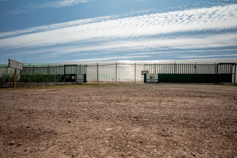 Foto 34b1a1ad-91fd-4170-9787-0036d6beef0f. Finca rústica a Pedanías Sur Utrera