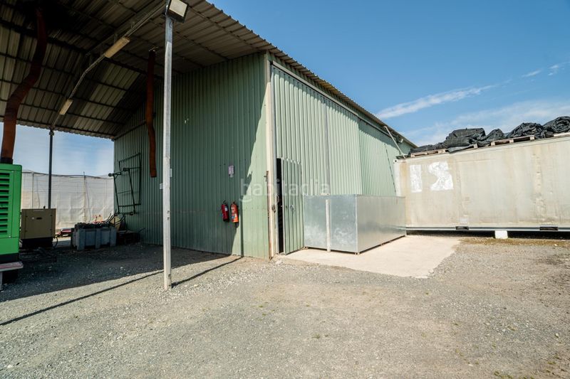 Foto 36a8ba9f-f120-4bc1-813d-c6e1da83df2d. Finca rústica a Pedanías Sur Utrera