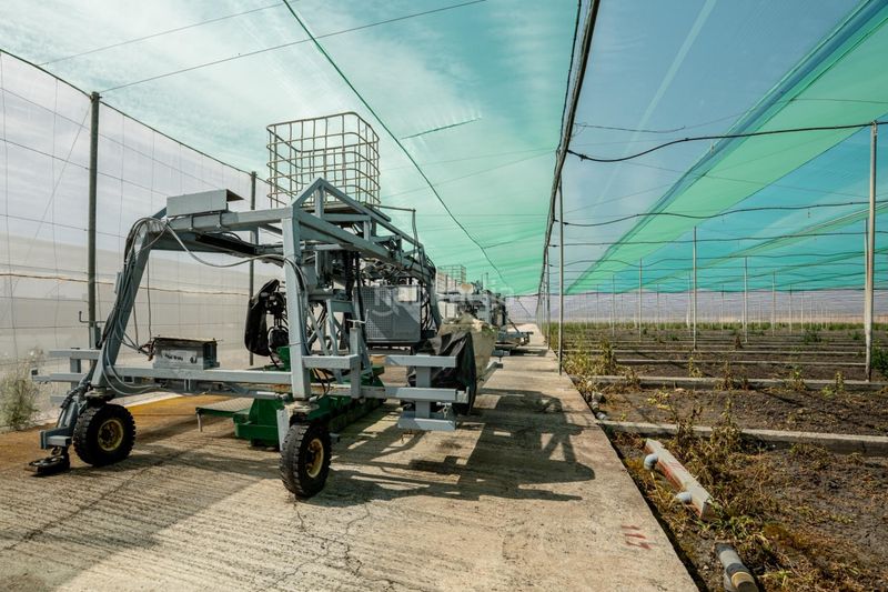 Foto 3c37f556-39e1-4c63-80d6-60172a634bf1. Finca rústica a Pedanías Sur Utrera