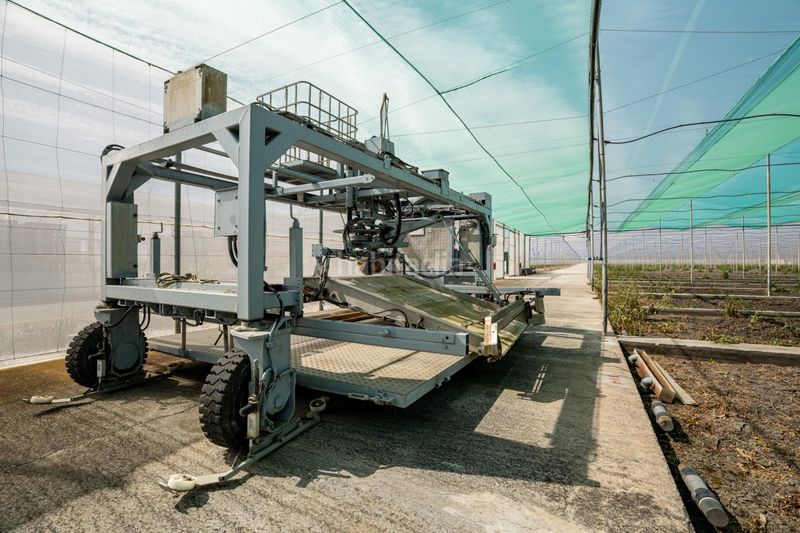 Foto 47775316-cc8d-448c-ba76-1ccda0f9c901. Finca rústica a Pedanías Sur Utrera