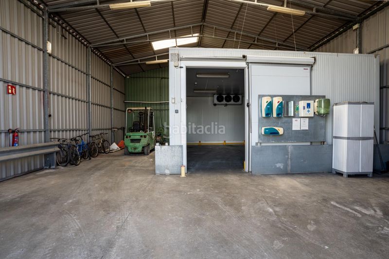 Foto 52423889-2a43-4914-9836-0ea102066390. Finca rústica a Pedanías Sur Utrera