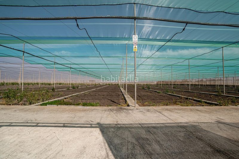 Foto 58a2e91f-013a-432c-ac70-01ff4c94f37a. Finca rústica a Pedanías Sur Utrera