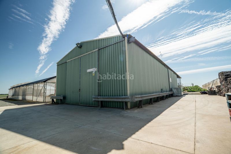 Foto 62a588b2-1486-4958-80b8-ab2272e29718. Finca rústica a Pedanías Sur Utrera