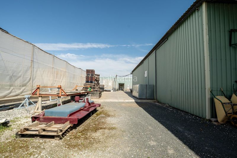 Foto 72e79c35-c90a-4e7a-a6ec-1fc53ca89e2b. Finca rústica a Pedanías Sur Utrera