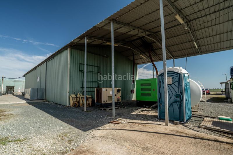 Foto 8cf894c7-9173-41ad-a889-99409b7fad89. Finca rústica a Pedanías Sur Utrera