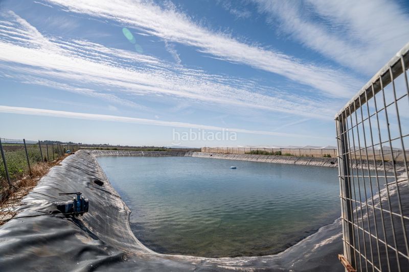 Foto 8eb847fe-8a12-4ccb-b88c-9577cb18e0b0. Finca rústica a Pedanías Sur Utrera