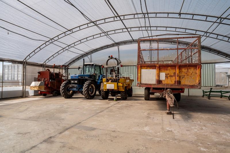 Foto 955cb33b-6913-4df9-9a26-6dc919cb36b4. Finca rústica a Pedanías Sur Utrera